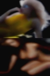 Nude singles Oklahoma