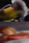 Topless horny women